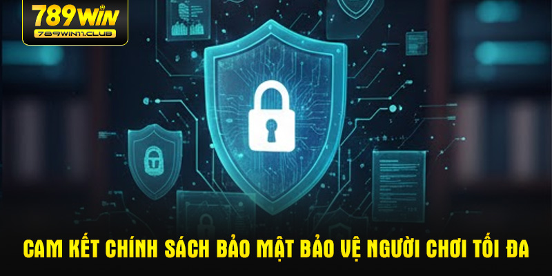 Cam kết chính sách bảo mật bảo vệ người chơi tối đa