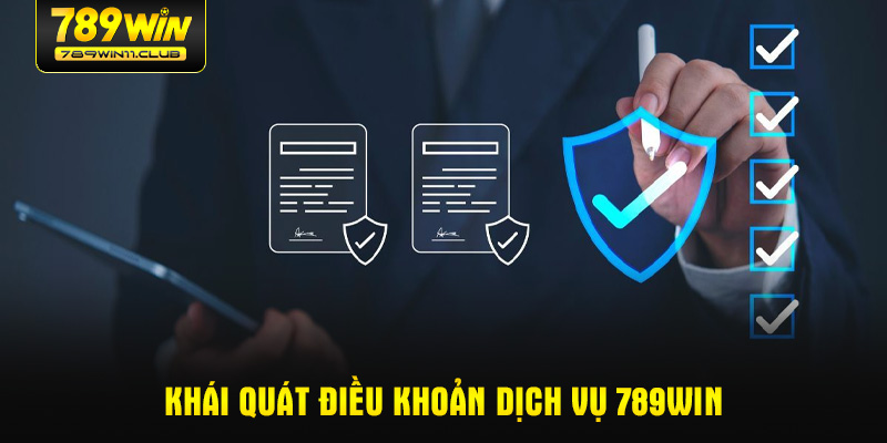 Khái quát điều khoản dịch vụ 789WIN